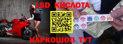мдпв Будённовск