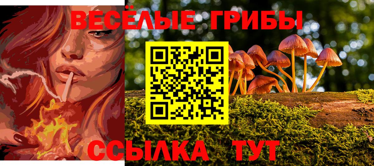 Галлюциногенные грибы ЛСД Краснокамск